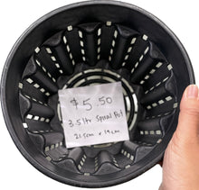 Load image into Gallery viewer, 3.5L Anti Root Spiralling Pot SUPER ERCOLE ROUND (215mm)