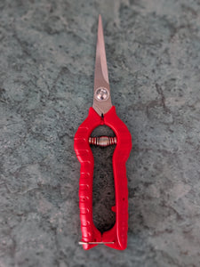 Pruning Scissors Shears