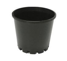 Load image into Gallery viewer, Squat Pot (100mm)
