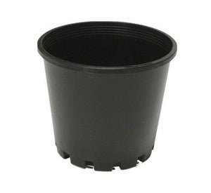 Squat Pot (100mm)