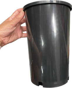 Tall Pot Black Citrus (165mm)