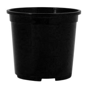 Slimline Plastic Midi Pot (100mm)