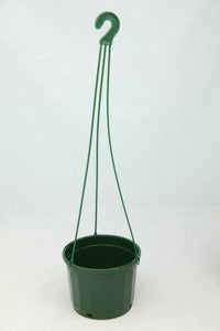 Hanging Pot Green (115mm)