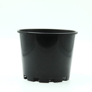 Squat Pot (125mm)