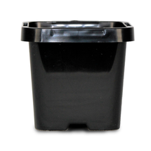 Load image into Gallery viewer, Square Pot Squat (66mm)
