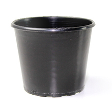 Load image into Gallery viewer, Squat Pot (80mm)
