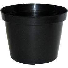 Load image into Gallery viewer, Squat Pot (90mm)
