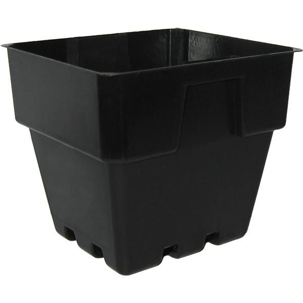 Square Punnet Pot Squat (100mm)