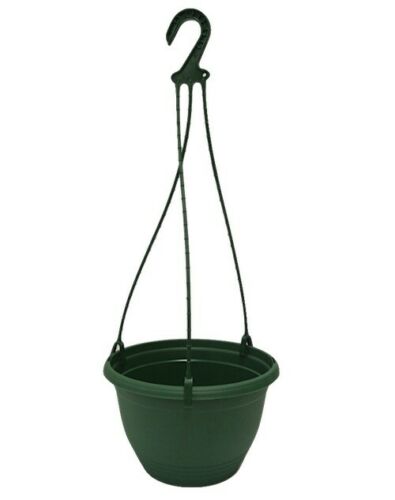 Hanging Basket Saucerless (200mm)