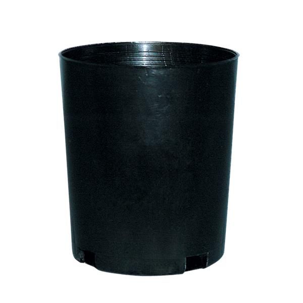 Tubestock Round Pot (60mm)