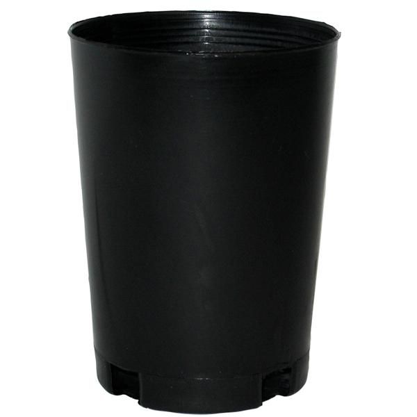 Tubestock Round Pot (75mm)