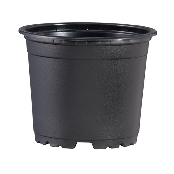 Teku Soft Pot Squat Black (170mm)